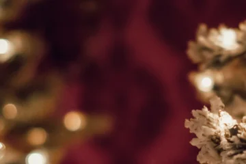 Soirée de fin d'année